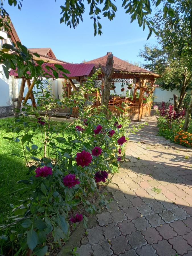 Stefana Apartment Rîşnov Exterior foto