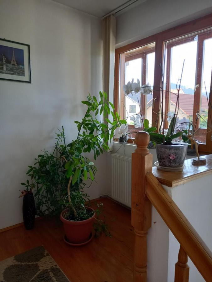Stefana Apartment Rîşnov Exterior foto